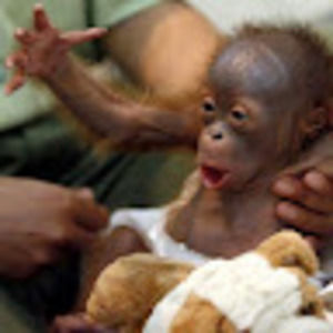 Meet your Posher, Leighanne